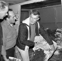 Observer's - Centennial Trees